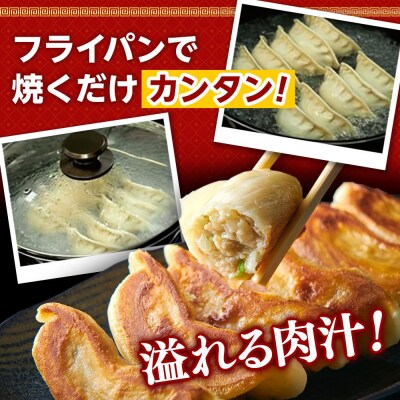 国産食材、銘柄豚使用!肉汁あふれる!【横浜大宝餃子】もちもち国産ジャンボ大宝餃子　30個×4