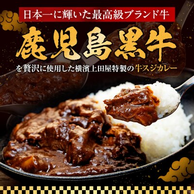 横濱上田屋謹製　肉屋のこだわり牛スジカレー8個(調理済み)