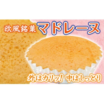 【外はカリッ!中はしっとり】マドレーヌ 10個入り