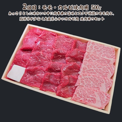 【定期便3回】山形牛定期便A[冷蔵便] FY25-913