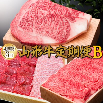 【定期便3回】山形牛定期便B[冷蔵便] FY25-074