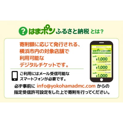 はまポンふるさと納税チケット3000円分(1000円×3枚)