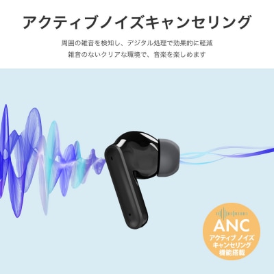 ブラックノイズキャンセリング搭載 Bluetooth 5.3 ANC 搭載 PG-BTE19TW