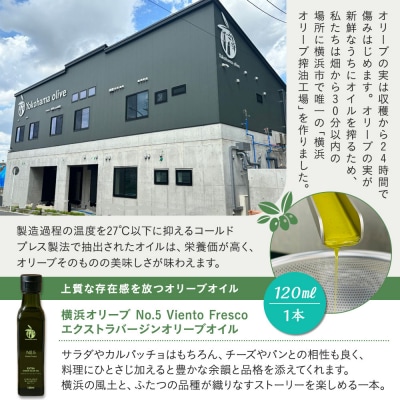 横浜オリーブ　No.5ビエントフレスコ　エクストラバージンオリーブオイル120ml