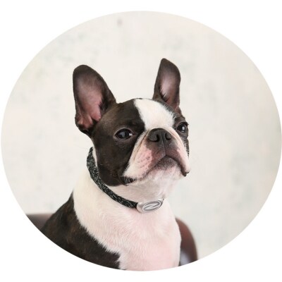 【Size27cm】ザオラル・リカバリーαバンド BK/SI