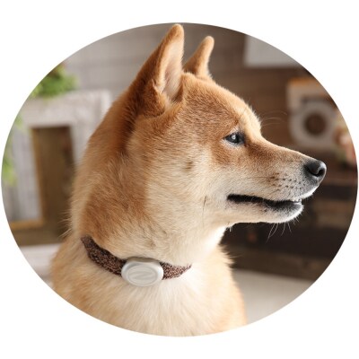 【Size29cm】ザオラル・リカバリーαバンド BR/SI