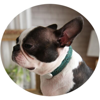 【Size27cm】ザオラル・リカバリーαバンド GR/SI