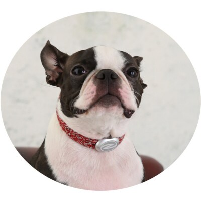 【Size27cm】ザオラル・リカバリーαバンド RD/SI