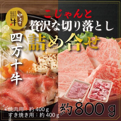 四万十牛こじゃんと贅沢な詰め合せ(焼肉用・すき焼き用)計800g 26-020