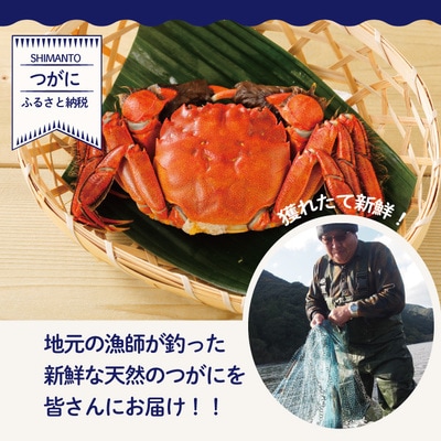 高級天然食材!四万十川の天然ツガニ 約700g～800g(4～6匹) 26