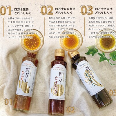 四万十どれっしんぐ5本セット 