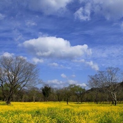 四万十黒潮旅館組合　 宿泊補助券　5枚(5,000円分) 26-120