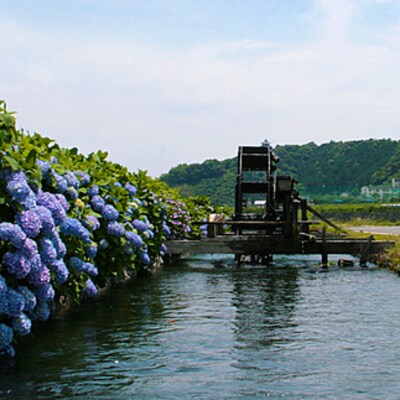 四万十市おもてなしタクシー(3)「沈下橋観光コース」1.5時間 26-958