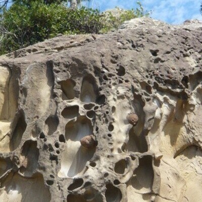 おもてなしタクシー(5)「「国立公園足摺・竜串周遊コース」6時間 26-960