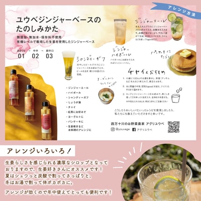 生姜好きさんにオススメ!濃厚・しょうがシロップ2本セット【あまくち】25-756