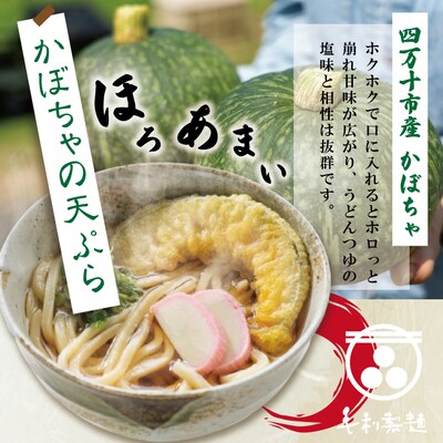 【数量限定】四万十うどんとカボチャの天ぷら6食入り 26-796