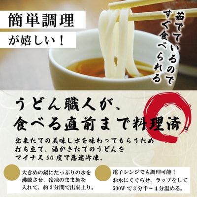 【数量限定】四万十うどんと人参のかき揚げ6食入り 26-797