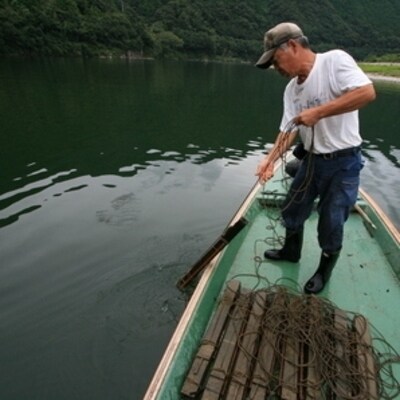 四万十川漁協遊漁券(1年券)【令和8年3月1日～令和9年2月28日】