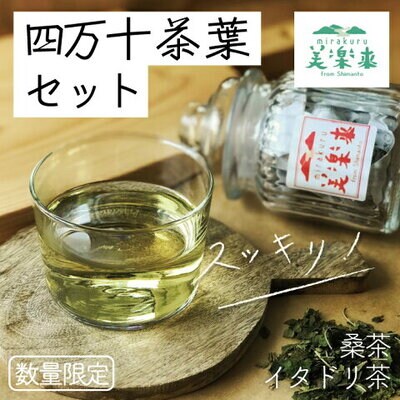 【数量限定】すっきり爽やか!四万十茶葉セット(イタドリ茶・桑茶) 26-814