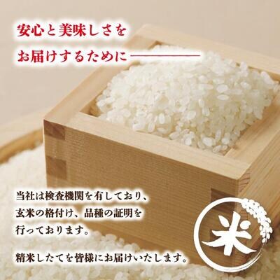 【令和7年産】香り米入りブレンド米「四万十のかおり」10kg R8