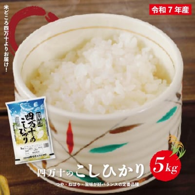 【令和7年産】四万十のこしひかり5kg R8