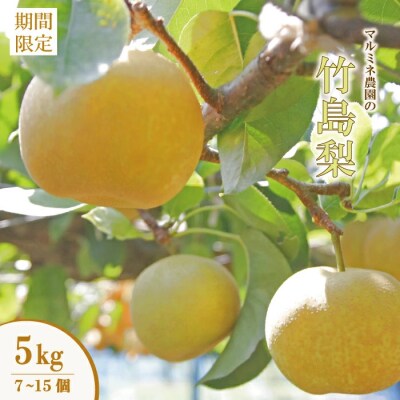 【数量限定・早期受付】マルミネ農園の竹島梨5kg(7～15個)【R7年8月中旬～9月下旬発送】