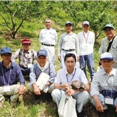 【期間・数量限定】新栗!贅沢四万十栗(3Lサイズ生栗)約1kg【2025年10月上旬～発送】