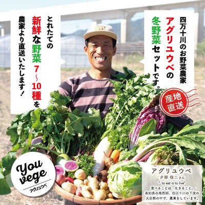 【2回定期便・早期受付・数量限定】アグリユウベの冬野菜セット(大)【配送月:R8年1月・2月】