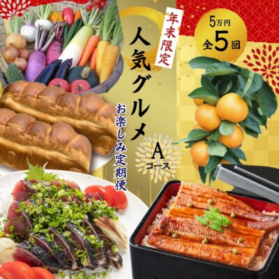 【年末限定・5回定期便】四万十の人気グルメお楽しみ しまんとふるさと定期便5万円Aコース24-613