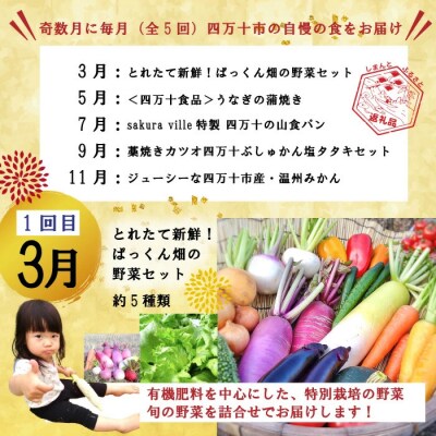 【年末限定・5回定期便】四万十の人気グルメお楽しみ しまんとふるさと定期便5万円Aコース24-613