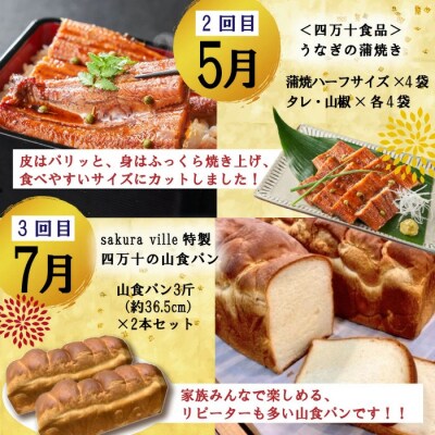 【年末限定・5回定期便】四万十の人気グルメお楽しみ しまんとふるさと定期便5万円Aコース24-613