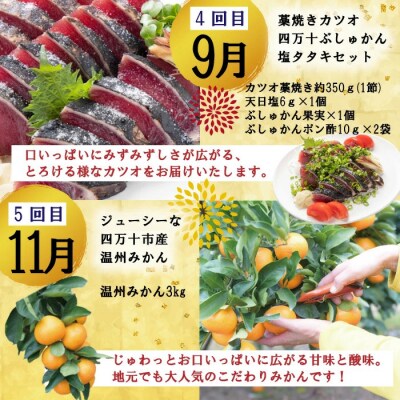 【年末限定・5回定期便】四万十の人気グルメお楽しみ しまんとふるさと定期便5万円Aコース24-613
