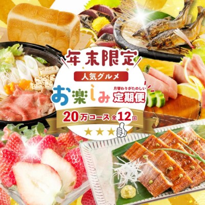 【年末限定12回定期便】四万十の人気グルメお楽しみ しまんとふるさと定期便20万円コースR7-616