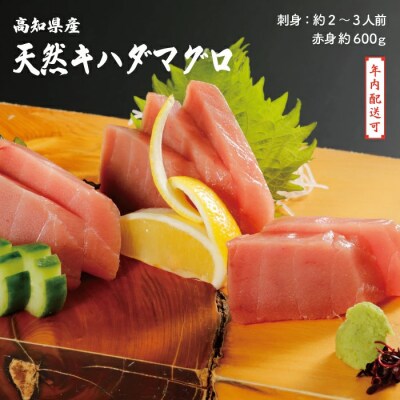 【年内配送】お刺身や漬け丼に 天然まぐろ キハダマグロ(赤身)約600g 2～3人前 25-999N