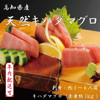 【年内配送】お刺身や漬け丼に 天然まぐろ キハダマグロ(赤身)約1kg 5～6人前 25-1000N