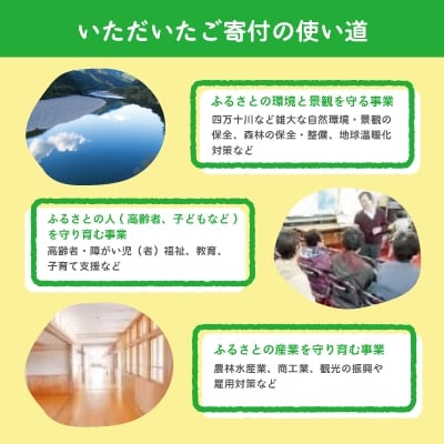 高知県四万十市への寄付 返礼品なし(寄付のみの受付となります)(1,000円単位でご寄付いただけます