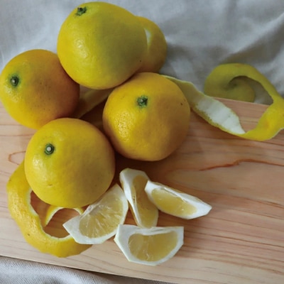 【早期受付】爽やかな酸味がたまらない!!四万十市産ハウス小夏(贈答用) 約5kg(18～30個)25