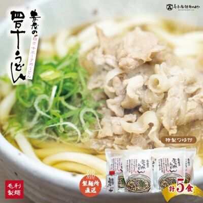四万十ポークで作ったジューシーな麦屋の肉うどん(特製つゆ付き)　5食入り 26-187