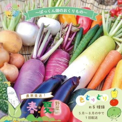 【早期受付】とれたて新鮮!春夏野菜セット 約5種類【2026年5月~8月の間に1回配送】