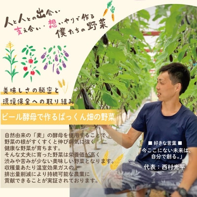 【早期受付】とれたて新鮮!春夏野菜セット 約5種類【2026年5月~8月の間に1回配送】