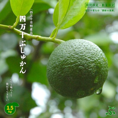 【早期受付・期間限定・数量限定】＜四万十市特産品＞すっきりとした酸味と上品な香り!四万十ぶしゅかん 