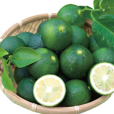 【早期受付・期間限定・数量限定】＜四万十市特産品＞すっきりとした酸味と上品な香り!四万十ぶしゅかん 