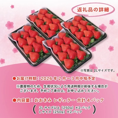 【早期受付・数量限定】苺の貴婦人おおきみ(レギュラー)4パック【2026年2月より順次発送予定】