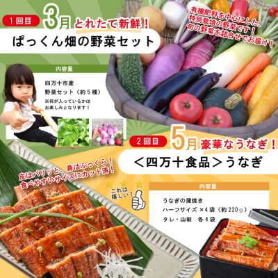 【年末限定・5回定期便】四万十の人気グルメお楽しみ しまんとふるさと定期便5万円AコースR7