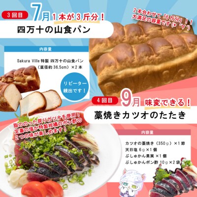 【年末限定・5回定期便】四万十の人気グルメお楽しみ しまんとふるさと定期便5万円AコースR7