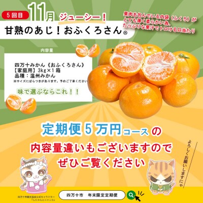 【年末限定・5回定期便】四万十の人気グルメお楽しみ しまんとふるさと定期便5万円AコースR7