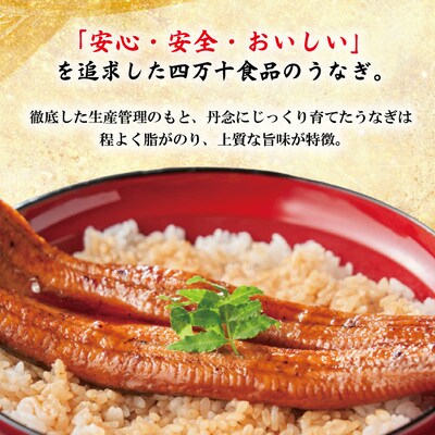 【年内配送】＜四万十食品＞うなぎ蒲焼 ハーフ4袋/BC　25-359N