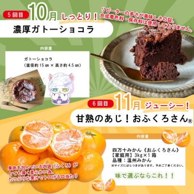 【年末限定・7回定期便】四万十の人気グルメお楽しみ しまんとふるさと定期便5万円BコースR7