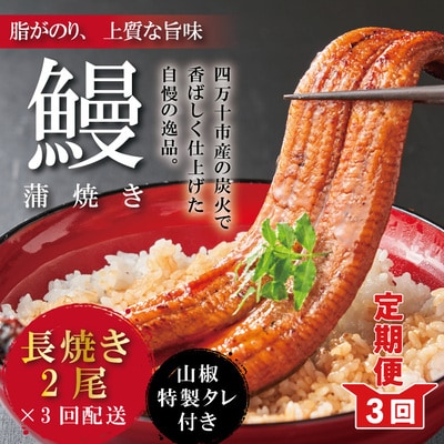 【3回定期便】お楽しみ企画 3ヵ月連続＜四万十食品＞うなぎ蒲焼 長焼2尾/BC.26-1059