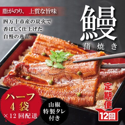 【12回定期便】お楽しみ企画 12ヵ月連続＜四万十食品＞うなぎ蒲焼 ハーフ4袋/BC.26-1058